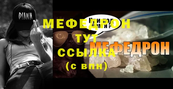 индика Бикин