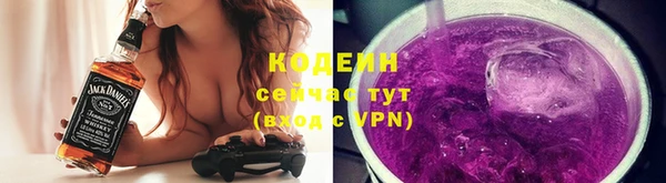 мдпв Билибино