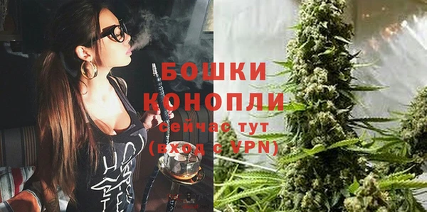 ПСИЛОЦИБИНОВЫЕ ГРИБЫ Бутурлиновка