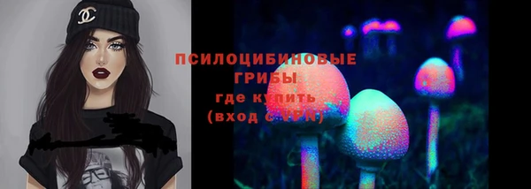 ПСИЛОЦИБИНОВЫЕ ГРИБЫ Бутурлиновка