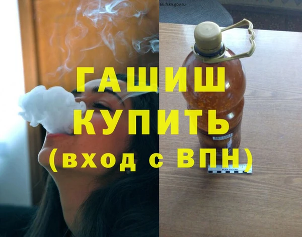 индика Бикин