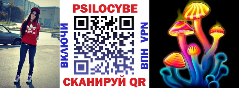 Галлюциногенные грибы Cubensis  сколько стоит  Дигора 